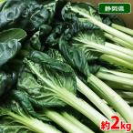  Shizuoka префектура производство брассика (ta-tsai|taa носорог )L~2L размер примерно 2kg коробка (12~8 АО ввод )