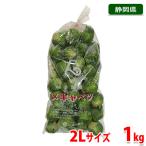 静岡県産　芽キャベツ　2Lサイズ　約1kg（35〜40個入り）