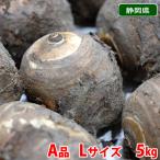静岡県産　海老芋（えびいも）A品　Lサイズ （12〜13本前後入） 約5kg