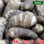  Shizuoka префектура производство море . клубень (....) A товар S размер примерно 5kg