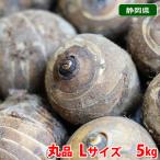  Shizuoka префектура производство море . клубень (....)A товар круг *L размер (16~19шт.@ передний и задний (до и после) входить ) примерно 5kg