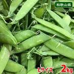  Wakayama префектура производство .... превосходящий товар L размер примерно 2kg( коробка )