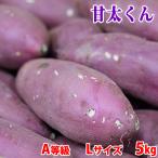 大分県産（JAおおいた）さつまいも　紅はるか　甘太くん　A等級　Lサイズ　約5kg (17〜19本前後入) 貯蔵 箱入り
