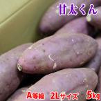 大分県産（JAおおいた）さつまいも　紅はるか　甘太くん　A等級　2Lサイズ　約5kg (12〜14本前後入) 貯蔵 箱入り