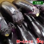  Osaka (столичный округ) производство Osaka баклажан превосходящий товар *M~L размер 5kg( примерно 40~50 шт. входит .)