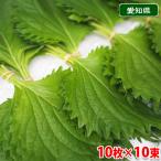 商品画像2