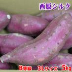  есть перевод *. для бытового использования Kumamoto префектура производство (JA.. запад .) батат шелк сладкий B и т.п. класс 3L размер примерно 5kg(8~10 шт. входит ) в коробке 