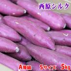 熊本県産（JA阿蘇西原）さつまいも　シルクスイート　A等級　Sサイズ　約5kg（40本前後入）箱入り