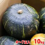  Новая Зеландия производство тыква 4~7 шар входить 10kg ( коробка ) юг .