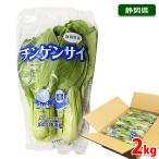  Shizuoka префектура производство синий ..( бок-чой ) LA размер 2 АО ×8 входить примерно 2kg коробка ( итого 16 АО входить )