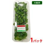  Osaka (metropolitan area) production spare mint meal for herb 1 pack 