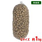 青森県産　むかご　Ｌサイズ　1kg（ネット入り）