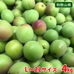 和歌山県産　小梅　L〜2Lサイズ　4kg（箱）