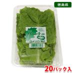  Tokushima префектура производство гибрид сельдерея и салата превосходящий товар 20 упаковка ввод (1 упаковка 10 листов ввод )| коробка 