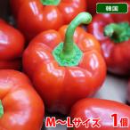 . местного производства паприка ( красный цвет )M~L размер 1 шт 