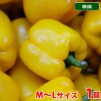 . местного производства паприка ( желтый цвет )M~L размер 1 шт 