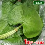  Tokushima префектура производство лист васаби 7~10шт.@(1 пачка )