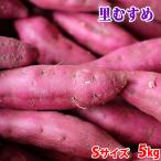  Tokushima префектура производство (JA..) батат становится . золотой час [....] превосходящий товар S размер примерно 5kg(40~4 2 шт передний и задний (до и после) входить ) в коробке 