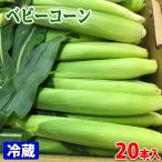 愛知県産 皮付き・ベビーコーン 20本入り(バラ詰め)