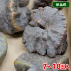  Tokushima префектура производство космос клубень ( воздушный картофель )7~10 шар ввод ( коробка )