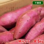 ショッピングさつまいも 千葉県産（JAかとり）さつまいも　シルクスイート　秀品　Mサイズ　約4.5kg （20本前後入）箱入り
