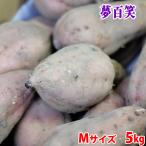 ショッピングさつまいも 鹿児島県産（夢百笑）種子島さつまいも　蜜芋（安納芋） Mサイズ　約5kg（22〜25本前後入）箱入り