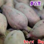  Кагосима префектура производство ( сон 100 смех ) семена остров батат меласса клубень ( дешево . клубень ) S размер примерно 5kg( примерно 40шт.@ передний и задний (до и после) входить ) в коробке 