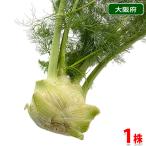  Osaka (столичный округ) производство фенхель 1 АО местного производства еда для трава 