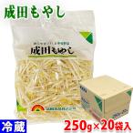 岐阜県産他　成田もやし　250g×20袋入り（箱）