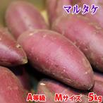茨城県産(マルタケ)さつまいも シルクスイート A等級 Mサイズ 約5kg(18〜22本前後入)箱入り