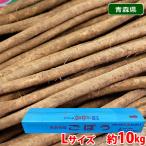  Aomori префектура производство др. gobou превосходящий товар L размер примерно 10kg ( роза ..)