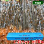  Aomori префектура производство др. gobou превосходящий товар L~2L размер примерно 10kg (2P пакет ..)