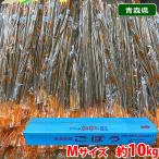  Aomori префектура производство др. gobou превосходящий товар M~2L размер примерно 10kg (2P пакет ..)