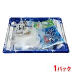 安岐水産 あおりいか 糸つくり （生食用） いかそうめん （つゆ、しょうが付） いか55g、つゆ16g、しょうが2g