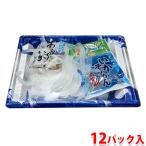 安岐水産 あおりいか 糸つくり （生食用） いかそうめん （つゆ、しょうが付） 12パック入 （箱）