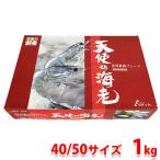  Новая Каледония производство ангел. море .40/50 размер ( примерно 45 хвост ) 1kg ( несессер )