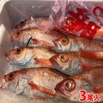 長崎県産のどぐろ3尾入り