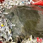 ..(.) дальневосточная черепаха 1 шт ( примерно 900g~1.2kg передний и задний (до и после) )