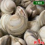  Chiba префектура производство (.) ho mbinos.( белый. ...) примерно 1kg большой ~ очень большой размер (1 шт на примерно 200g и больше )