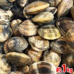  префектура Аичи производство (.)... очень большой ~ большой размер примерно 1kg (40~50 шт передний и задний (до и после) входить )