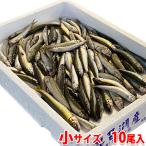 愛知県産他鮎小あゆ10尾入り