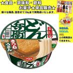 日清 どん兵衛 きつねうどん 95g 　食品・調味料・菓子・飲料　詰合せ10kgまで同発送　