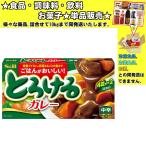 S&Bエスビー とろけるカレー 中辛 144g 　食品・調味料・菓子・飲料　詰合せ10kgまで同発送　