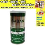 ギャバン セイジ パウ�