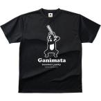 baseball junky（ベースボールジャンキー）　安定打ち＋4  (半袖ドライTシャツ)　（2）ブラック　BBJ17002