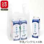  Vaio форель пакет с ручками 100 листов Восточная Япония 30 номер / запад Япония 40 номер Vaio рука гипер- винил пакет L натуральный ( половина прозрачный )simojimaHEIKO