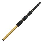 etore Reach paul (pole) 9.7m 4 ступенчатый 44232 для бизнеса высоты работа для paul (pole) оплата при получении не возможно 