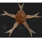 ジャッカル ジミーヘンジ42パワーソルト 42mm 5個入 シンキング #滋味エビ【メール便OK】