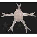 ジャッカル ジミーヘンジ42パワーソルト 42mm 5個入 シンキング #リザーバーサイトSP【メール便OK】