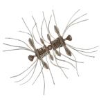 ダイワ スティーズ クアッドフォーゼ 51mm 3匹入 #スジエビグリーンフレーク【メール便OK】【FECO認定商品】